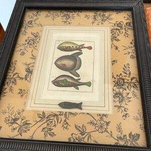 Set of 4 antique aquatic prints in custom wood frames with custom matte